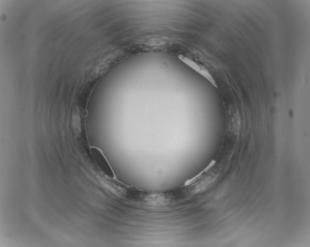 X0000062900562200602031835