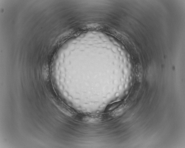 X0000062900563200602031835