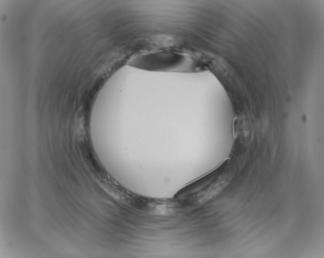 X0000062900564200602031835