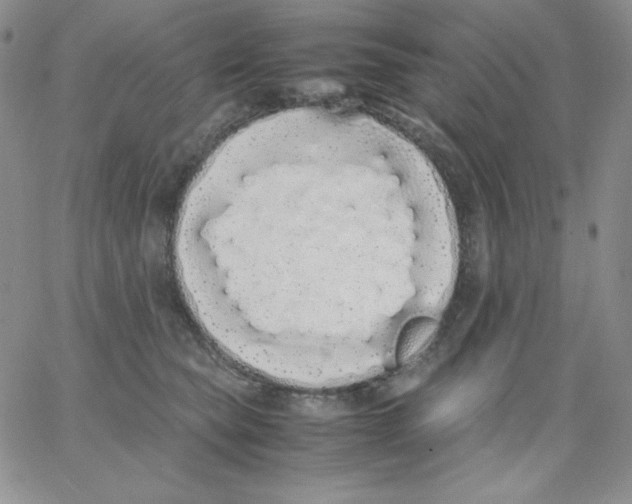 X0000062900565200602031835