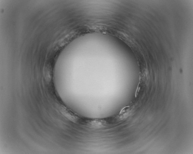 X0000062900566200602031835