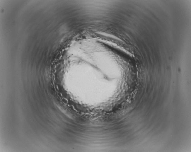 X0000062900568200602031835