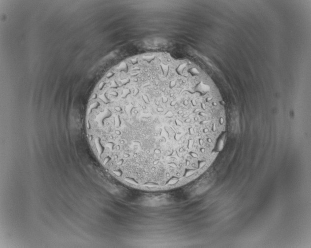 X0000062900569200602031835