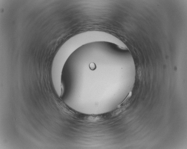 X0000062900570200602031835