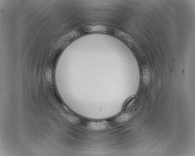 X0000062900571200602031835