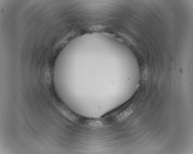 X0000062900572200602031835