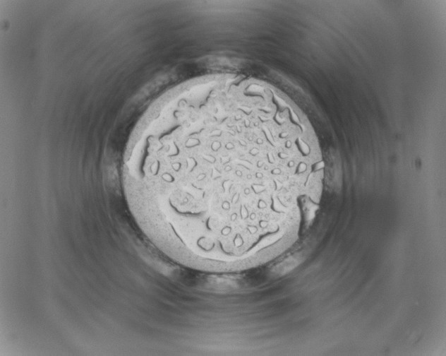 X0000062900573200602031835