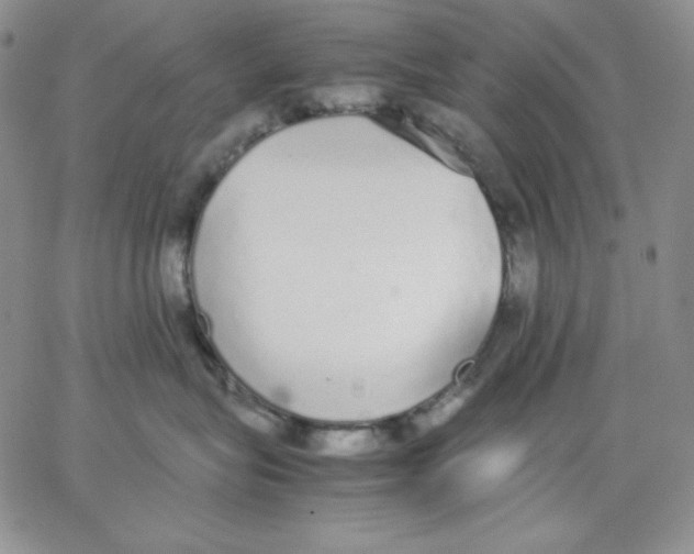 X0000062900575200602031835