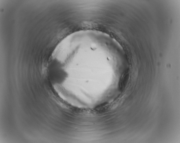 X0000062900576200602031835