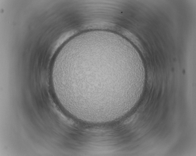 X0000062900578200602031834