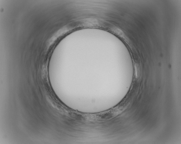 X0000062900579200602031834