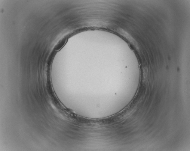 X0000062900580200602031834