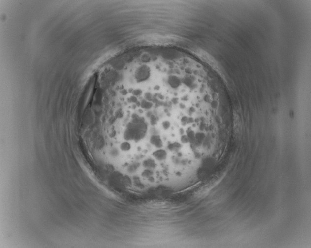 X0000062900581200602031834