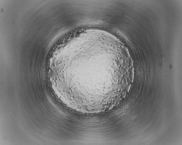 X0000062900582200602031834