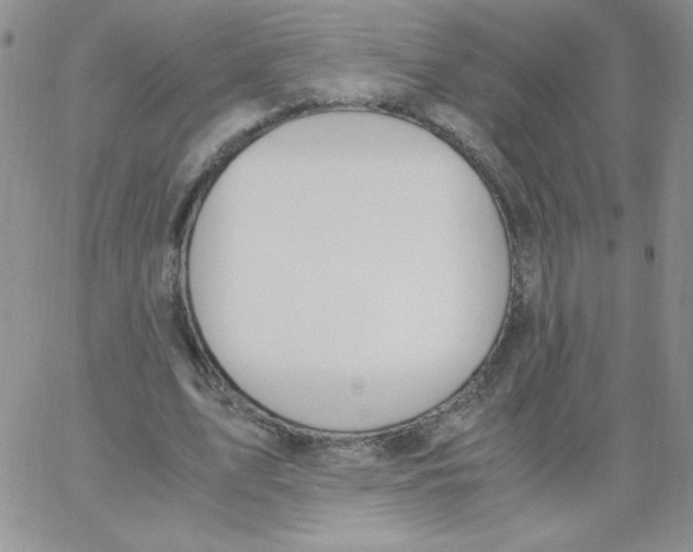 X0000062900583200602031834