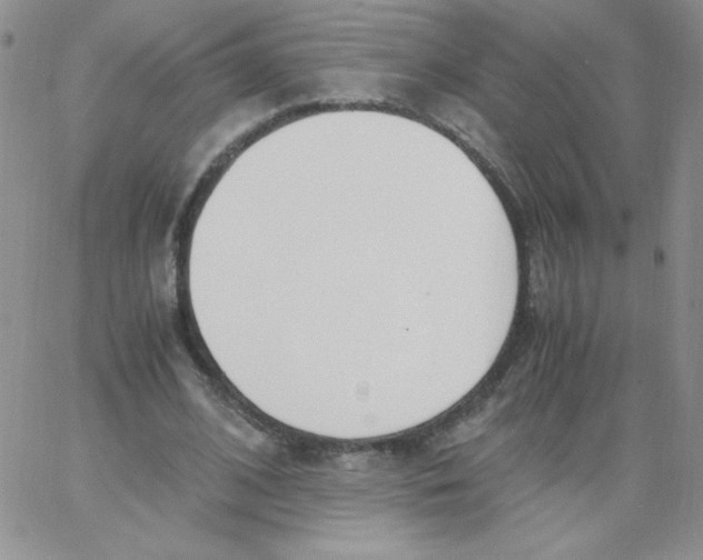 X0000062900584200602031834