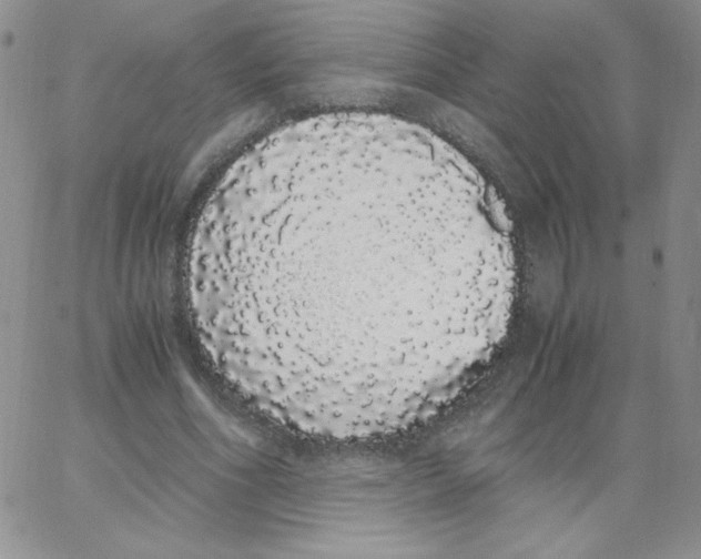 X0000062900586200602031834