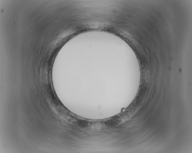 X0000062900587200602031834