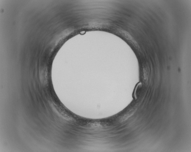 X0000062900588200602031834