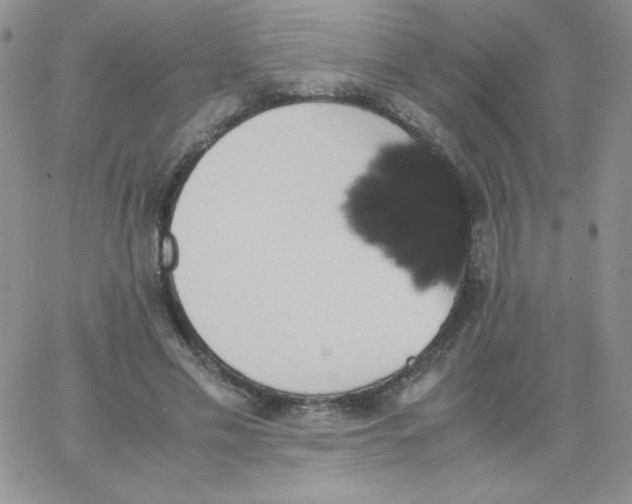 X0000062900589200602031834