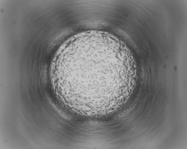 X0000062900590200602031834