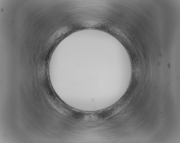 X0000062900591200602031834