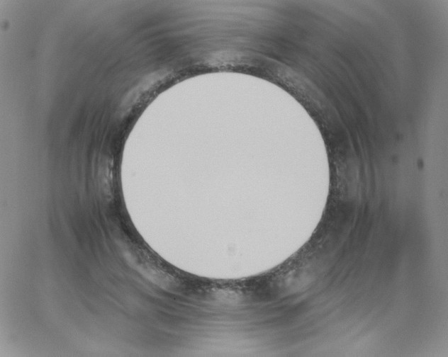 X0000062900592200602031834