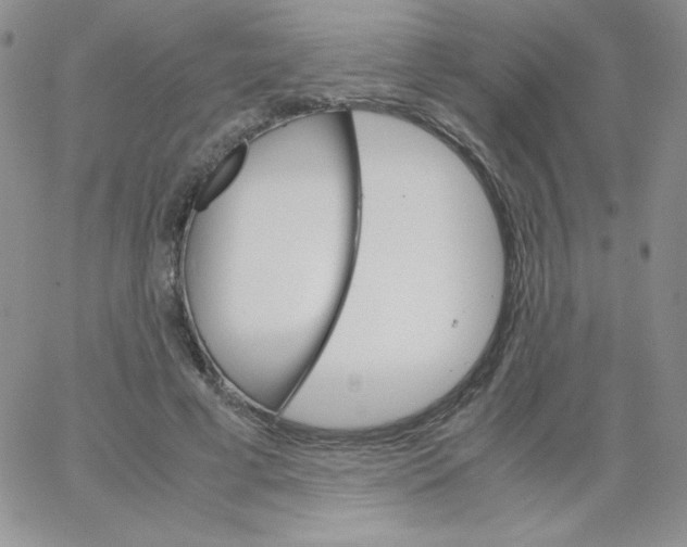 X0000062900593200602031834