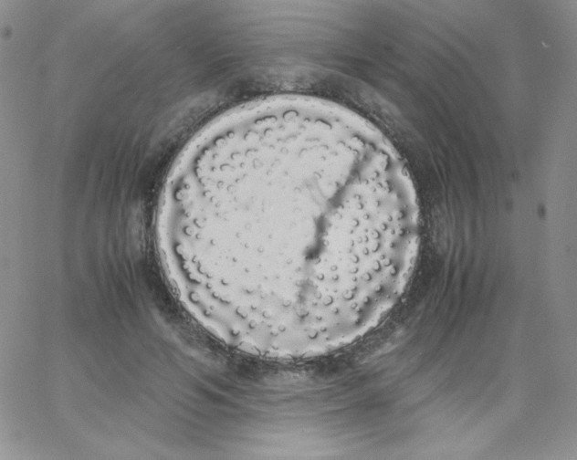 X0000062900594200602031834