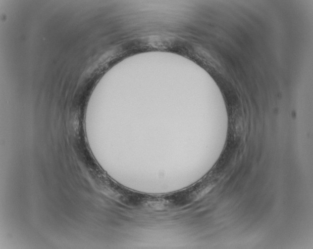 X0000062900595200602031834