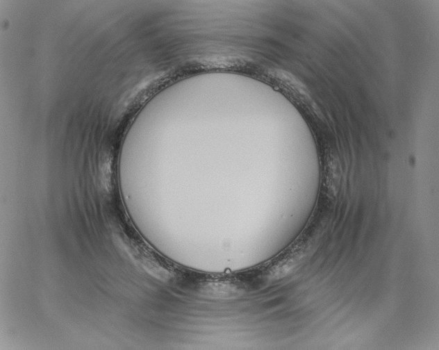 X0000062900596200602031834