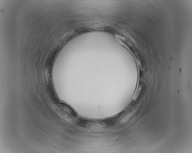 X0000062900597200602031834