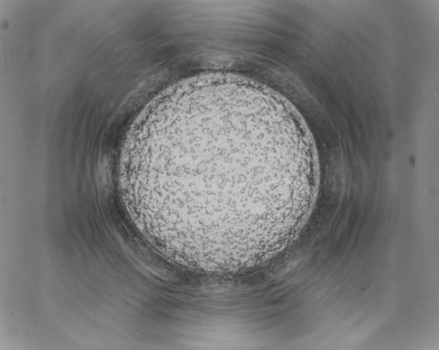 X0000062900598200602031834