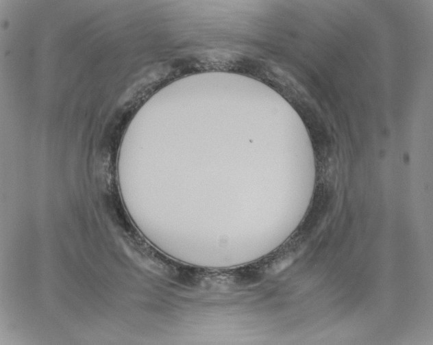 X0000062900599200602031834