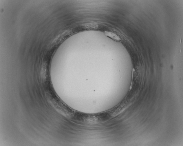 X0000062900600200602031834