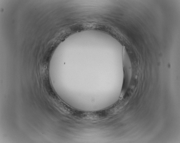 X0000062900601200602031834