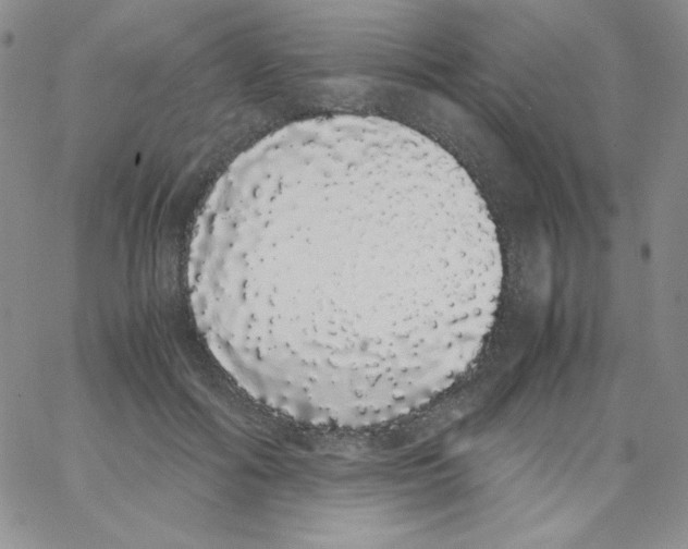 X0000062900602200602031834