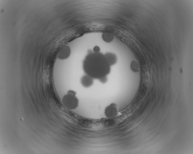 X0000062900604200602031834