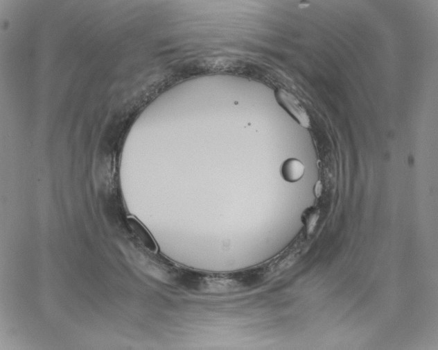 X0000062900605200602031834