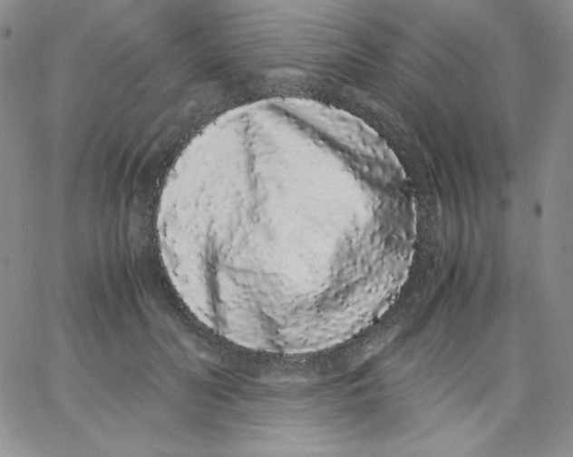 X0000062900606200602031834