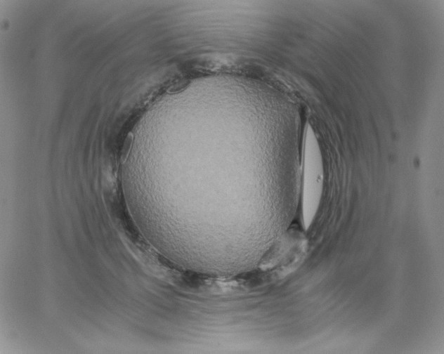 X0000062900607200602031834