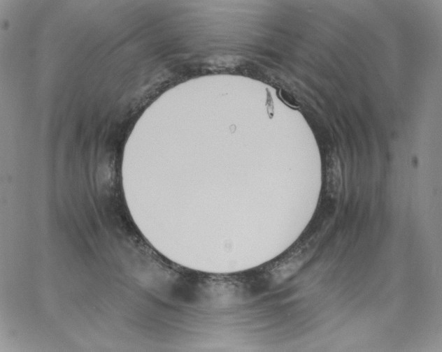 X0000062900608200602031834