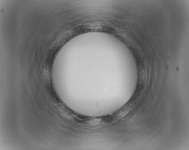 X0000062900609200602031834