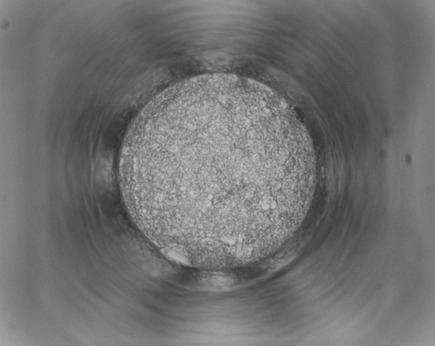 X0000062900610200602031834