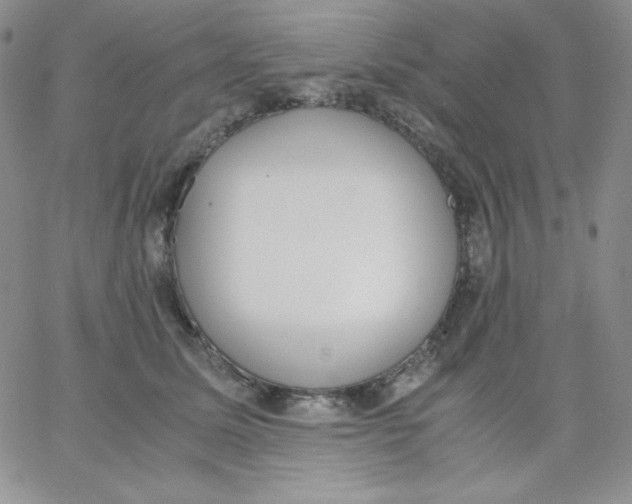 X0000062900611200602031834