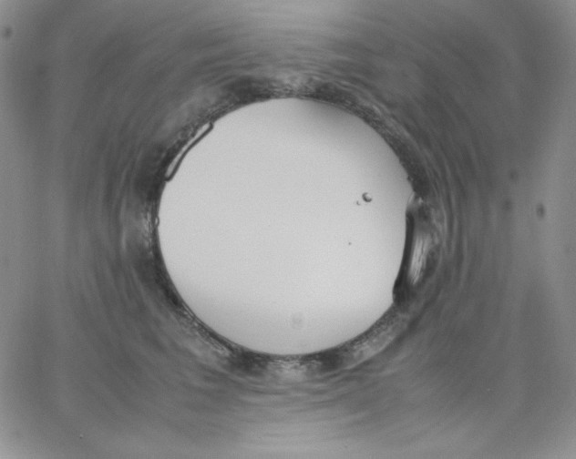 X0000062900613200602031834