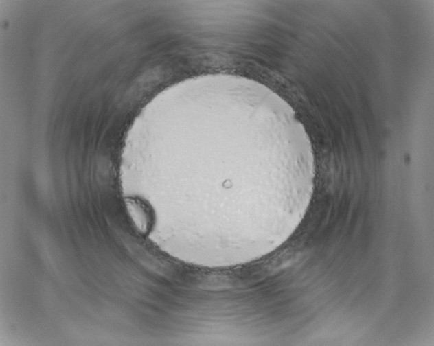 X0000062900614200602031834