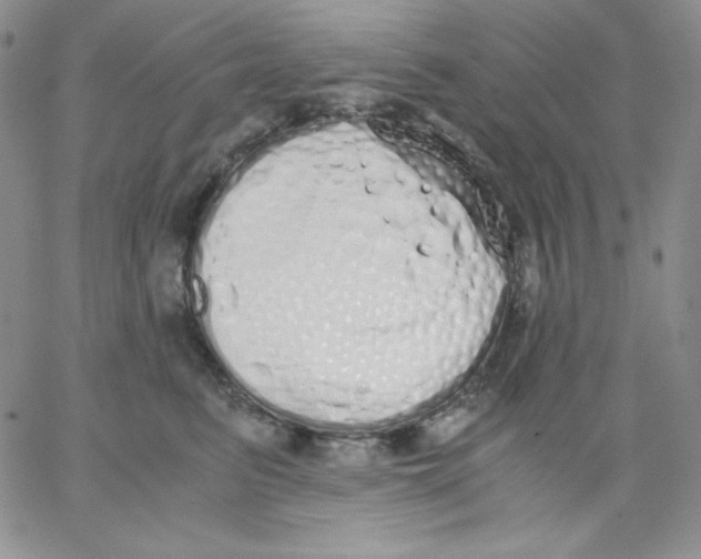 X0000062900615200602031834