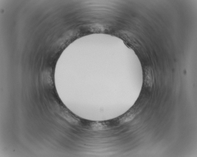 X0000062900616200602031834