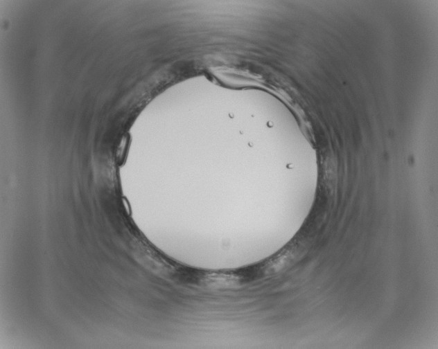 X0000062900617200602031834